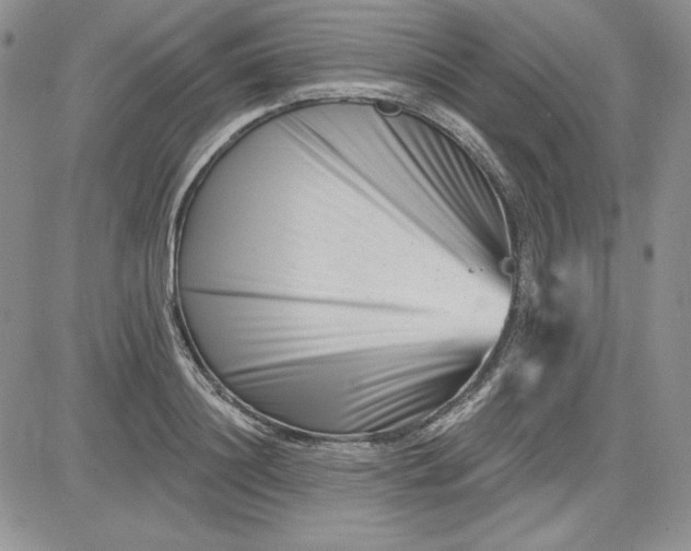 X0000081420844200701261552