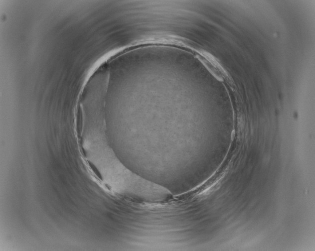 X0000081420846200701261552