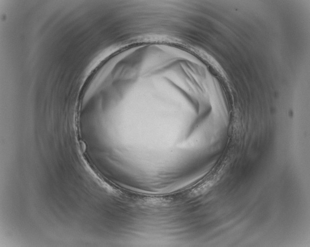 X0000081420847200701261552