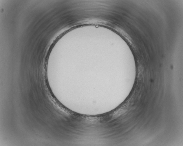 X0000081420848200701261552