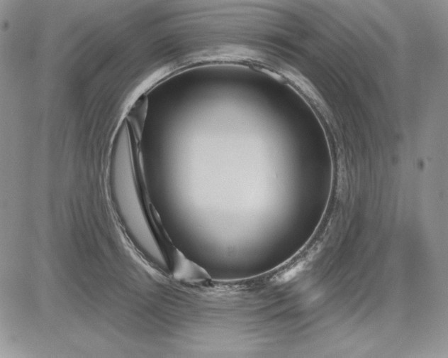 X0000081420850200701261552