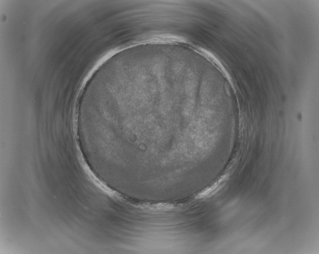 X0000081420851200701261552