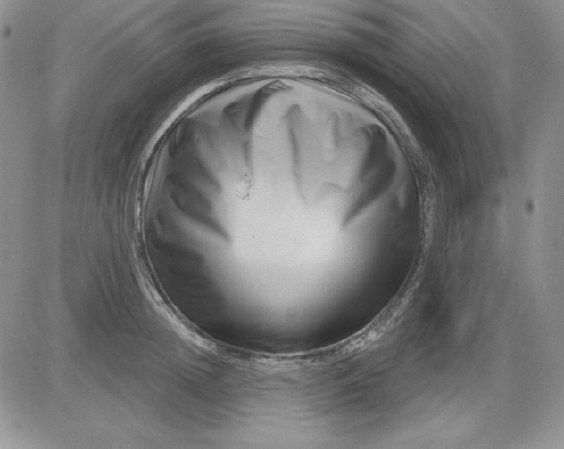 X0000081420852200701261552