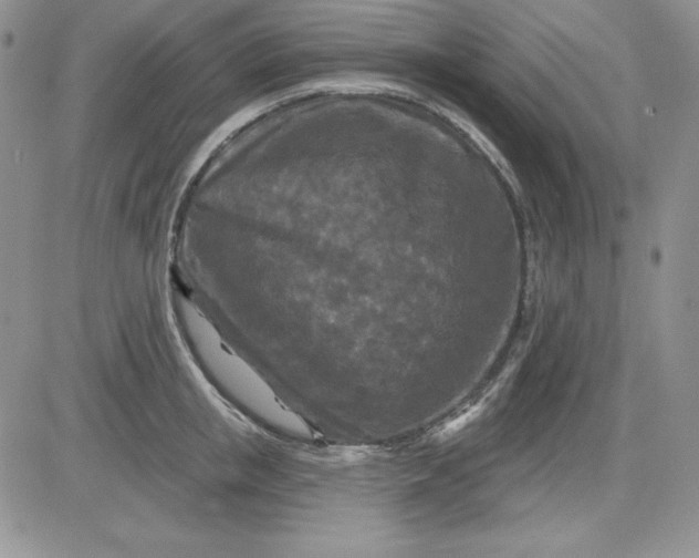 X0000081420853200701261552