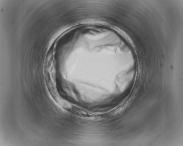 X0000081420855200701261552