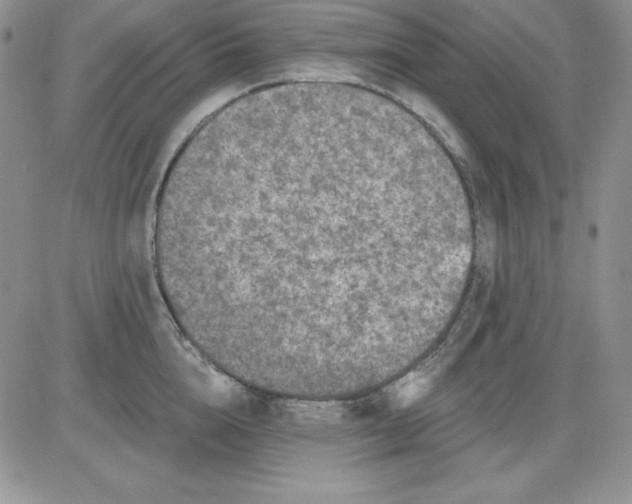 X0000081420856200701261552