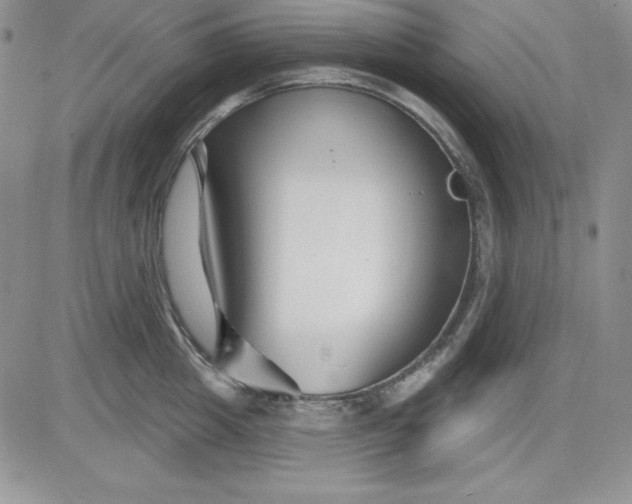 X0000081420857200701261552