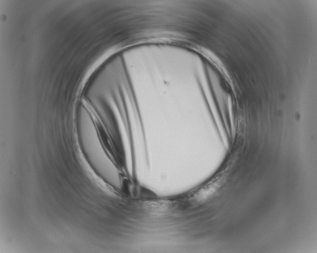 X0000081420859200701261552