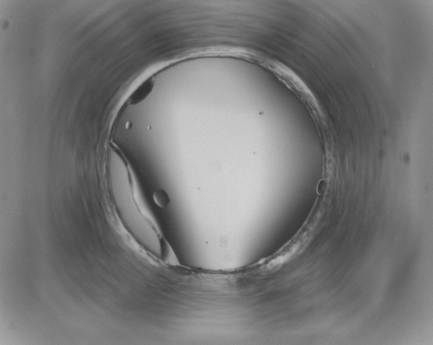 X0000081420860200701261552