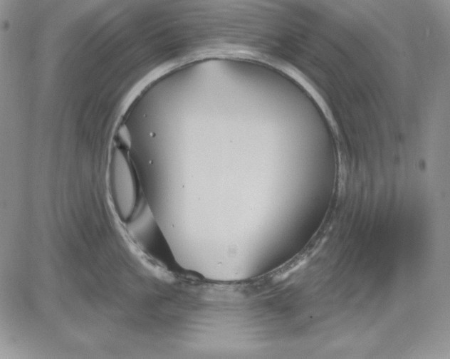 X0000081420861200701261552