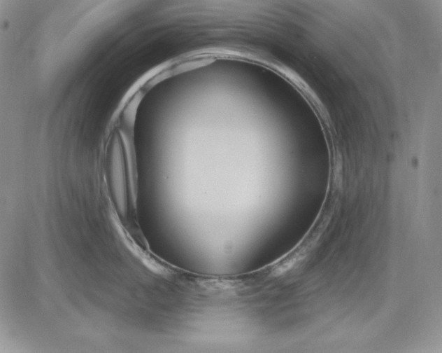 X0000081420862200701261552