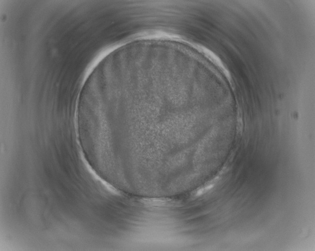 X0000081420863200701261552