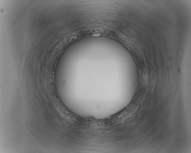 X0000081420865200701261551