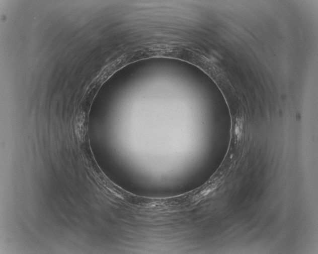 X0000081420867200701261551