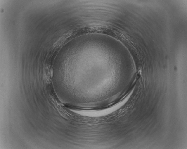 X0000081420868200701261551