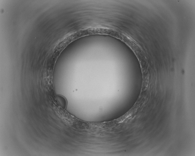 X0000081420870200701261551