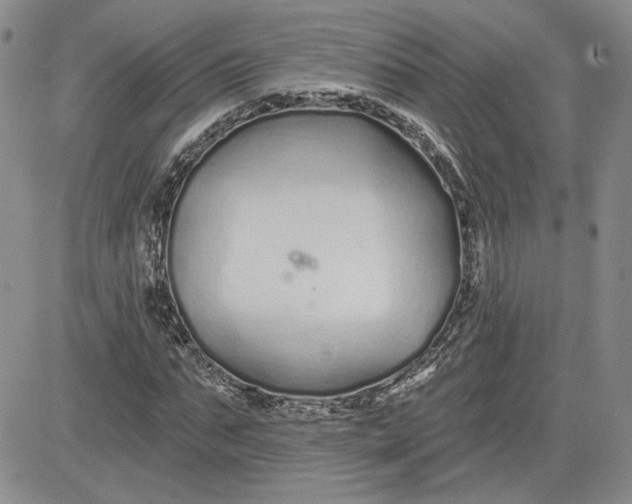 X0000081420871200701261551