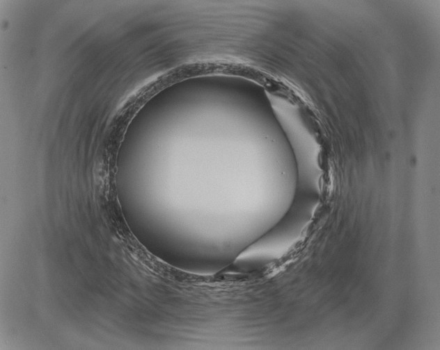 X0000081420872200701261551