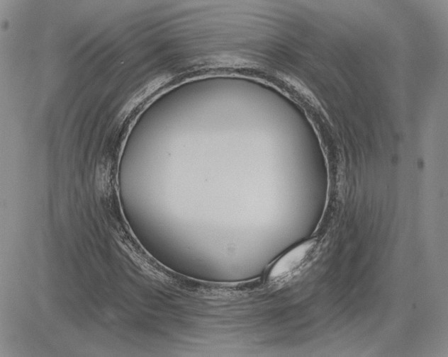 X0000081420873200701261551