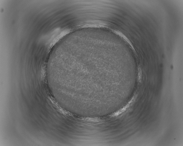 X0000081420874200701261551