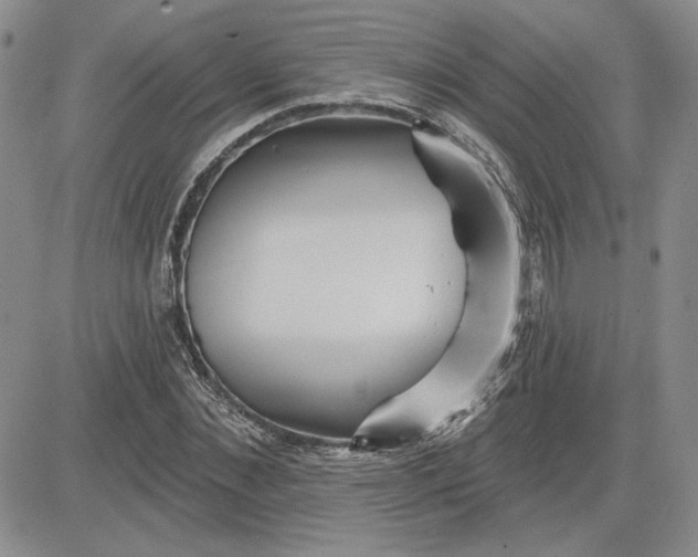 X0000081420876200701261551