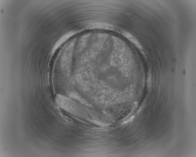 X0000081420877200701261551