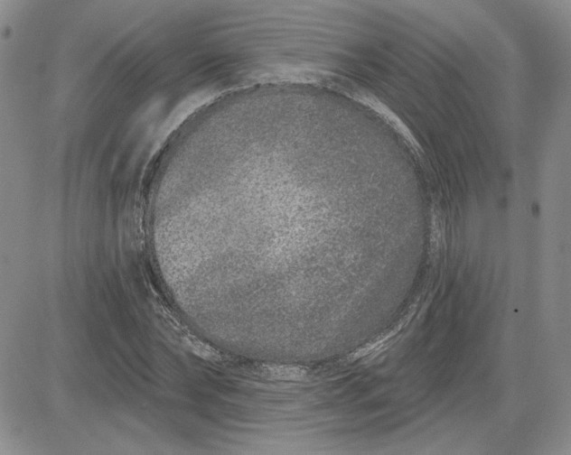 X0000081420878200701261551