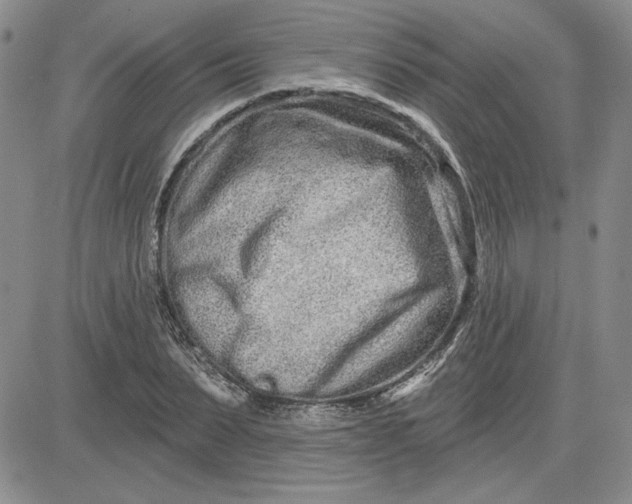 X0000081420879200701261551