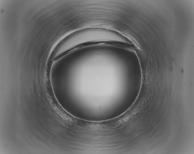 X0000081420880200701261551