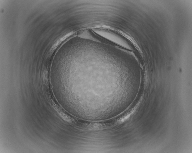 X0000081420881200701261551