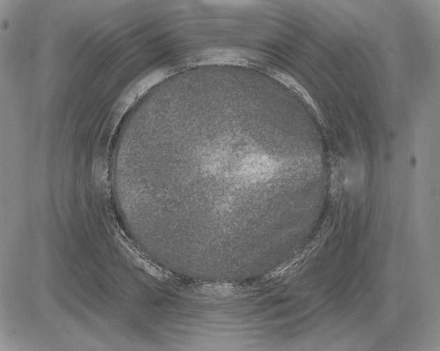 X0000081420882200701261551