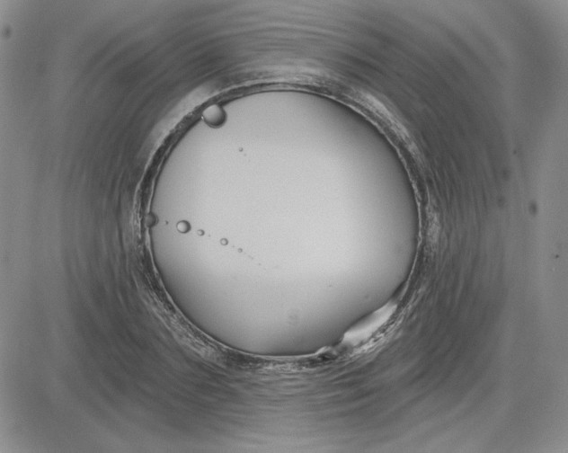 X0000081420883200701261551