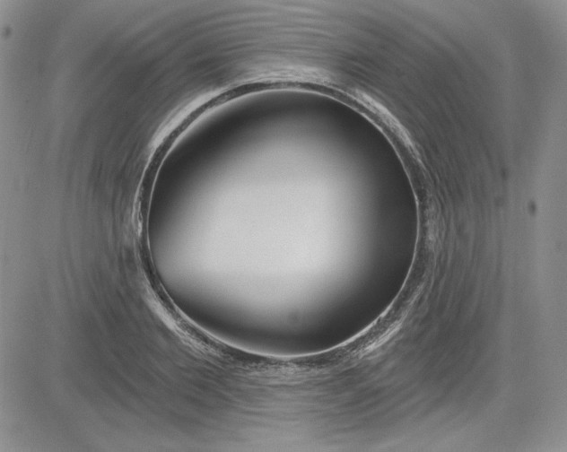 X0000081420885200701261551