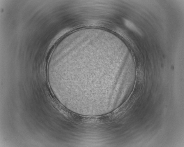 X0000081420886200701261551