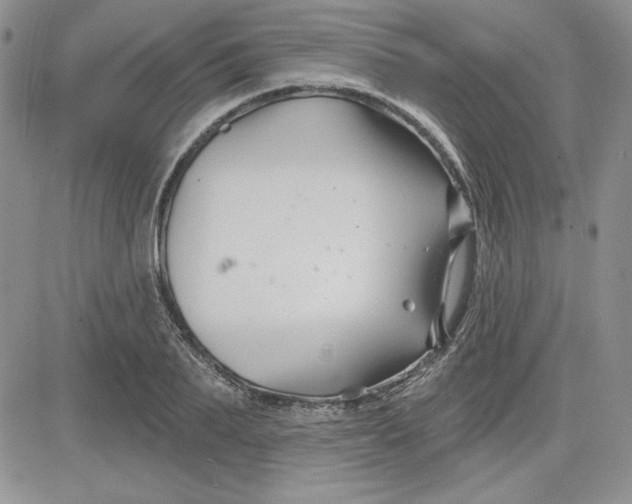 X0000081420887200701261551