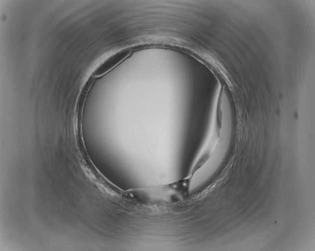 X0000081420888200701261551