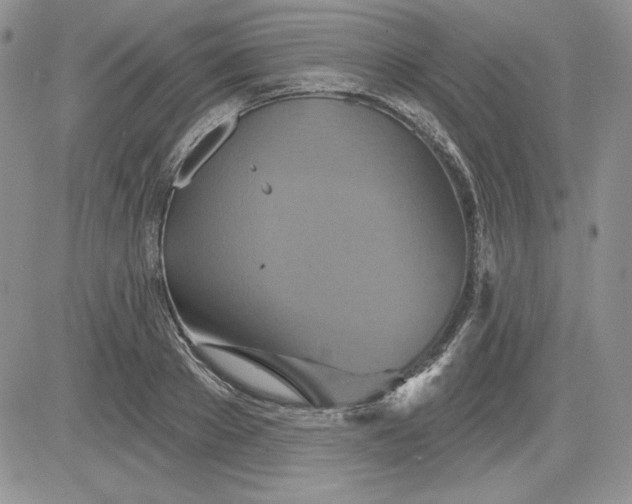 X0000081420889200701261551