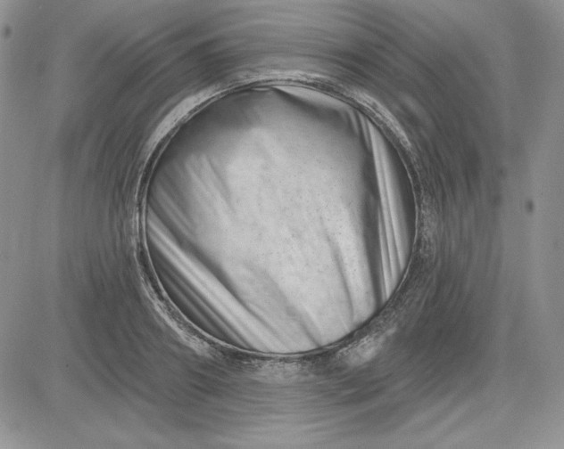 X0000081420890200701261551