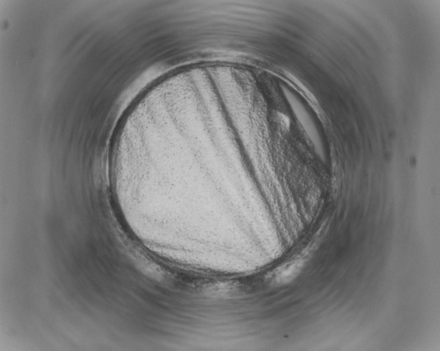 X0000081420891200701261551