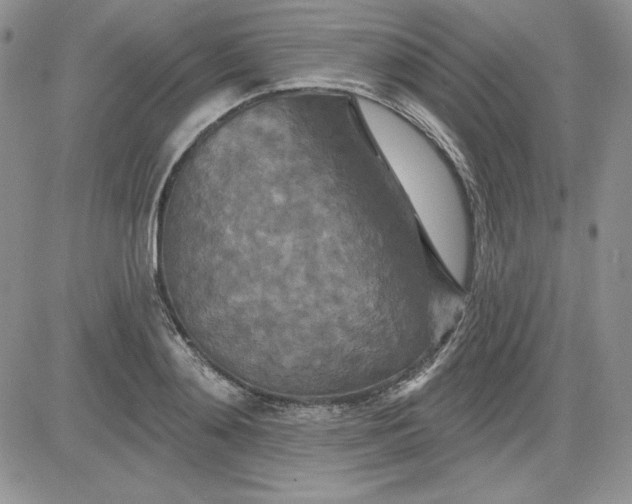 X0000081420892200701261551