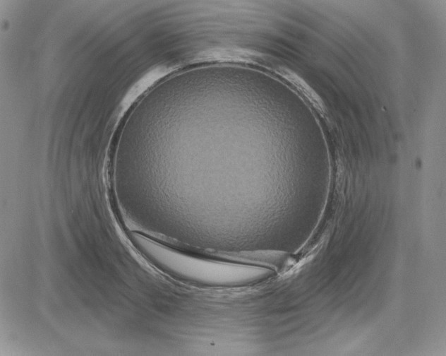 X0000081420893200701261551