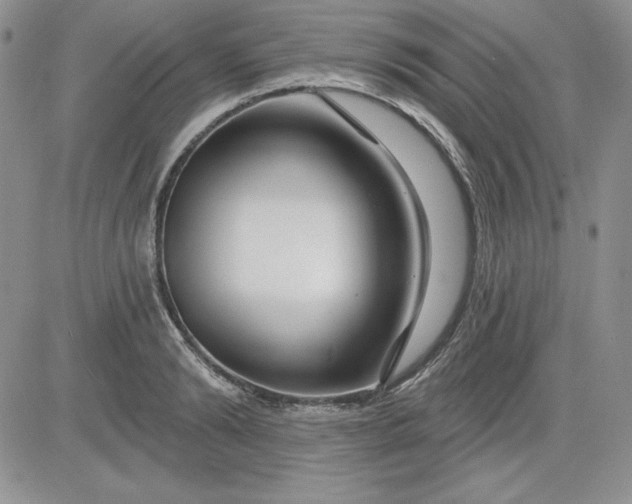 X0000081420894200701261551