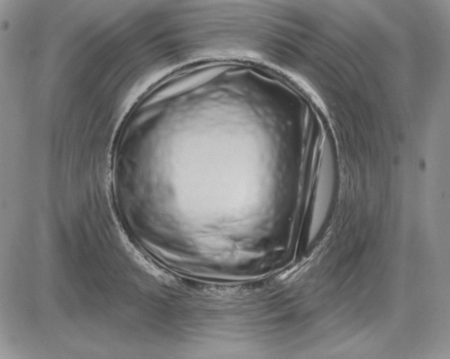 X0000081420895200701261551