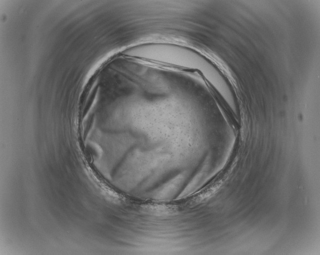 X0000081420896200701261551