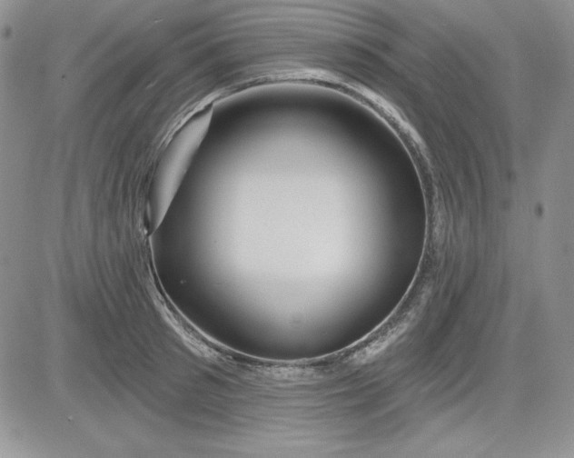 X0000081420897200701261551