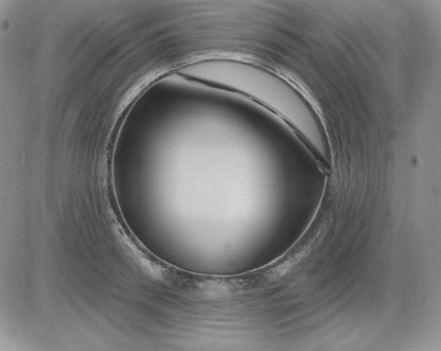 X0000081420898200701261551