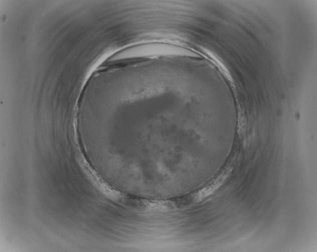 X0000081420899200701261551