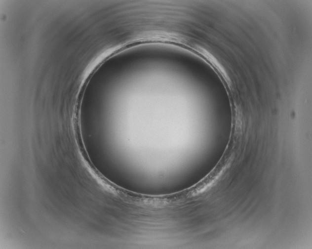 X0000081420901200701261551