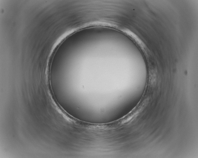 X0000081420902200701261551