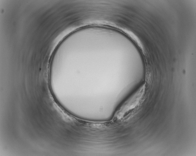 X0000081420903200701261551